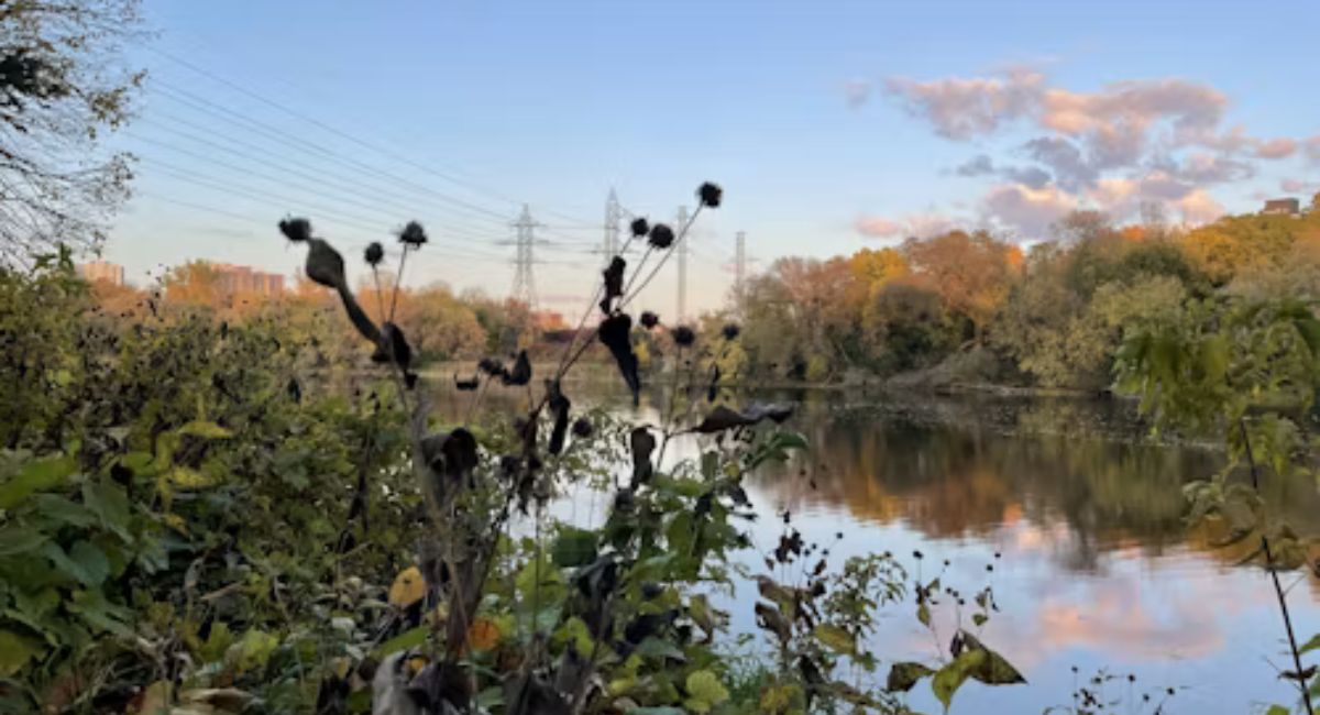 Rideau River