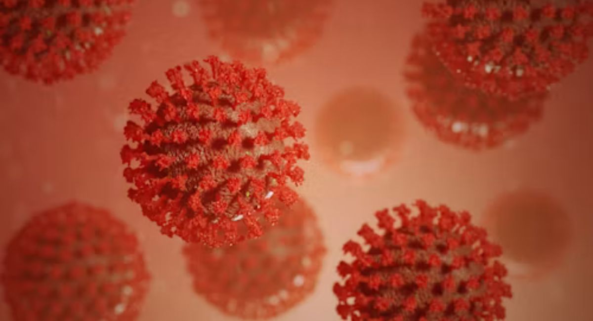 Ebola Outbreak Raises Global Concern