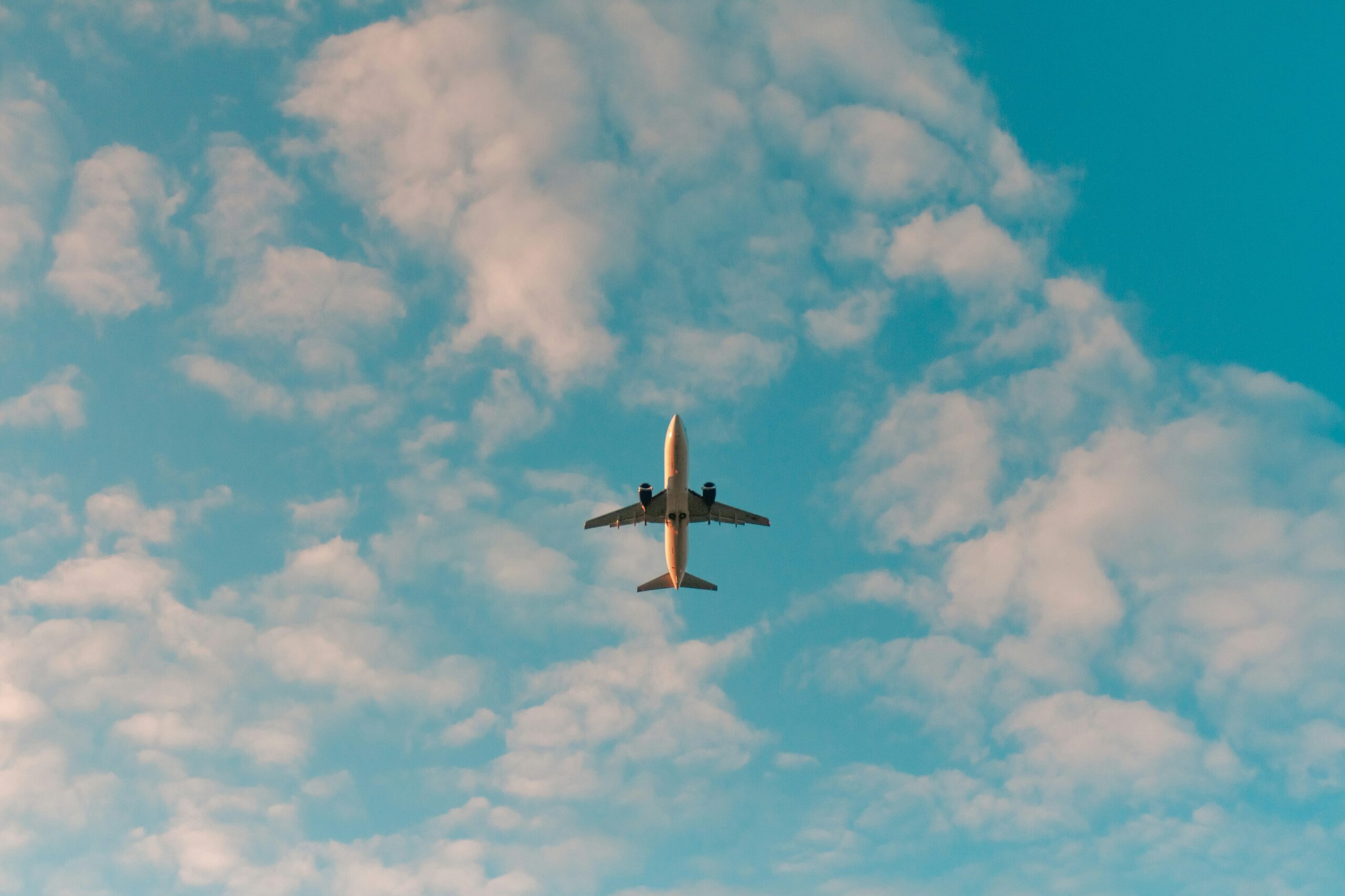 Flights