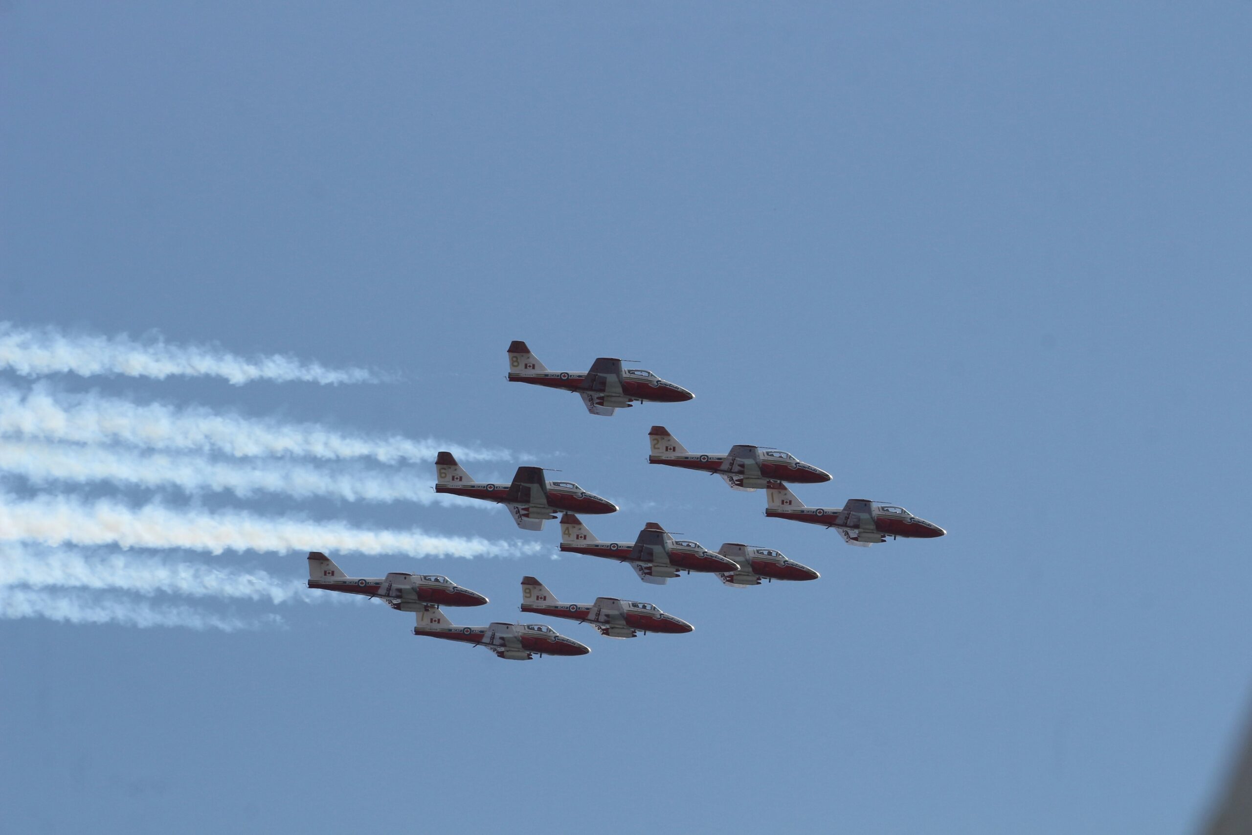 Snowbirds