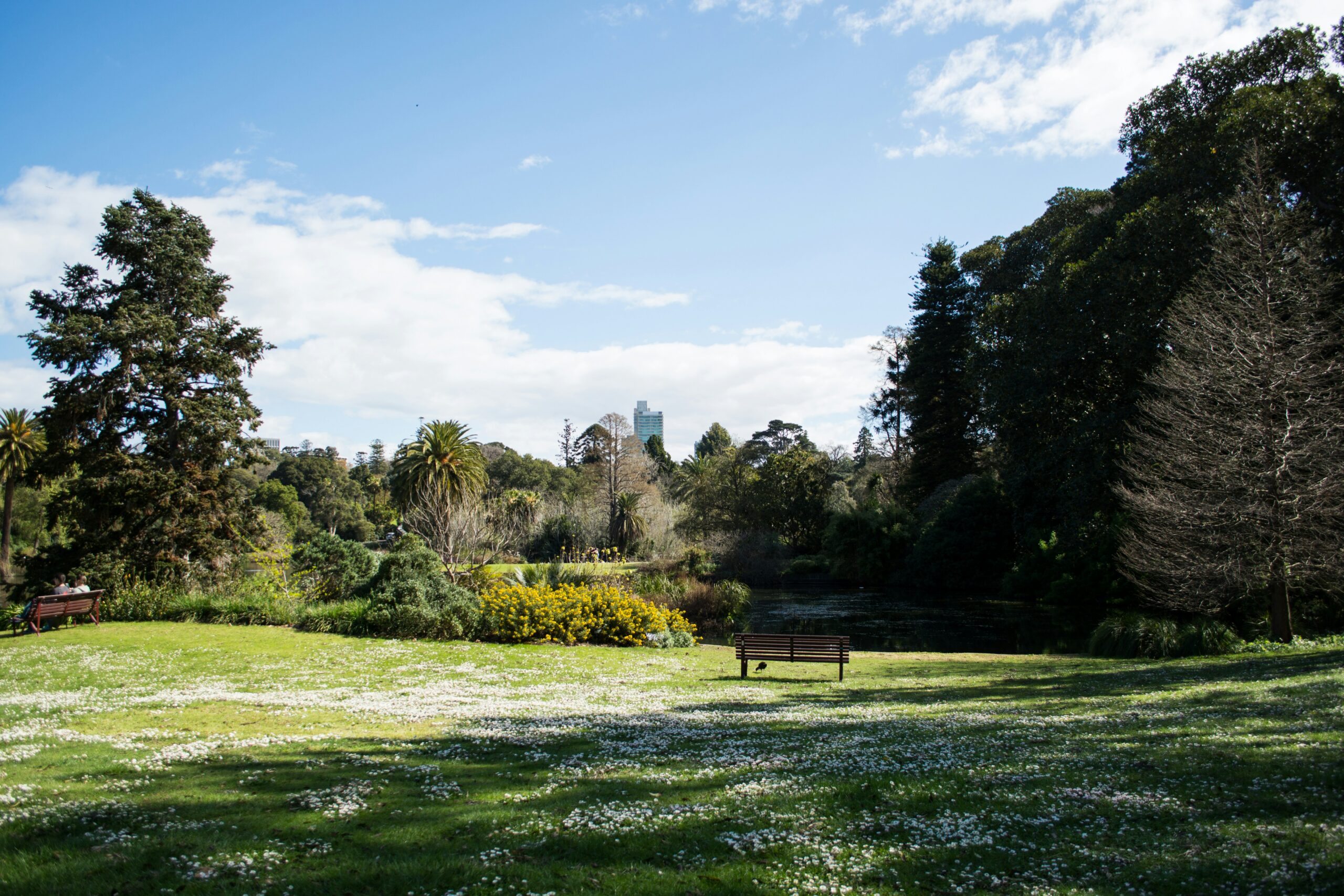 park
