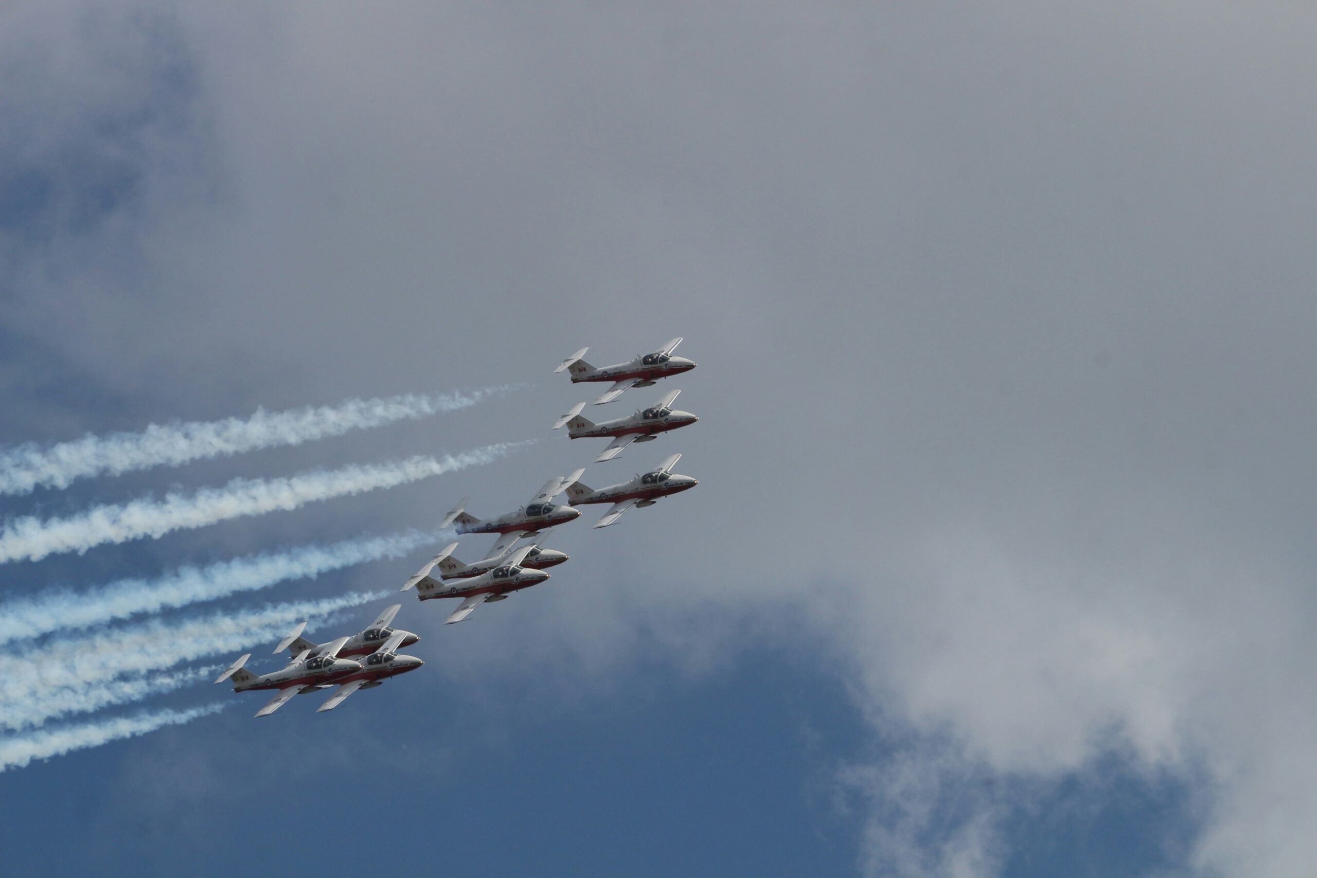 Snowbirds