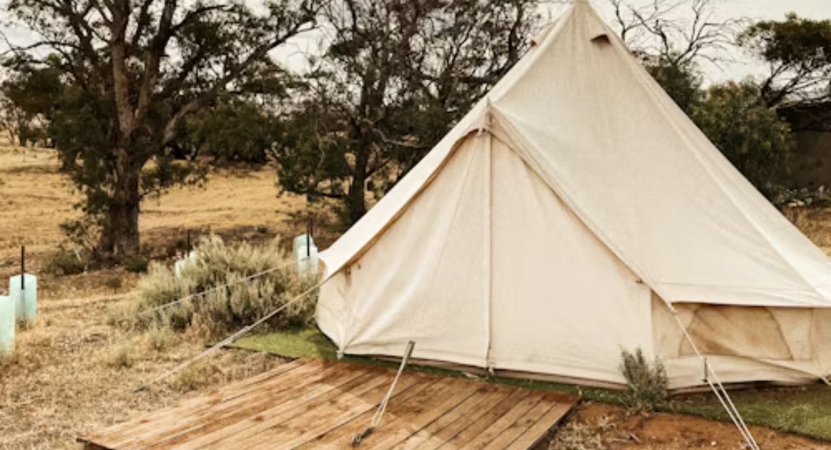 tent family