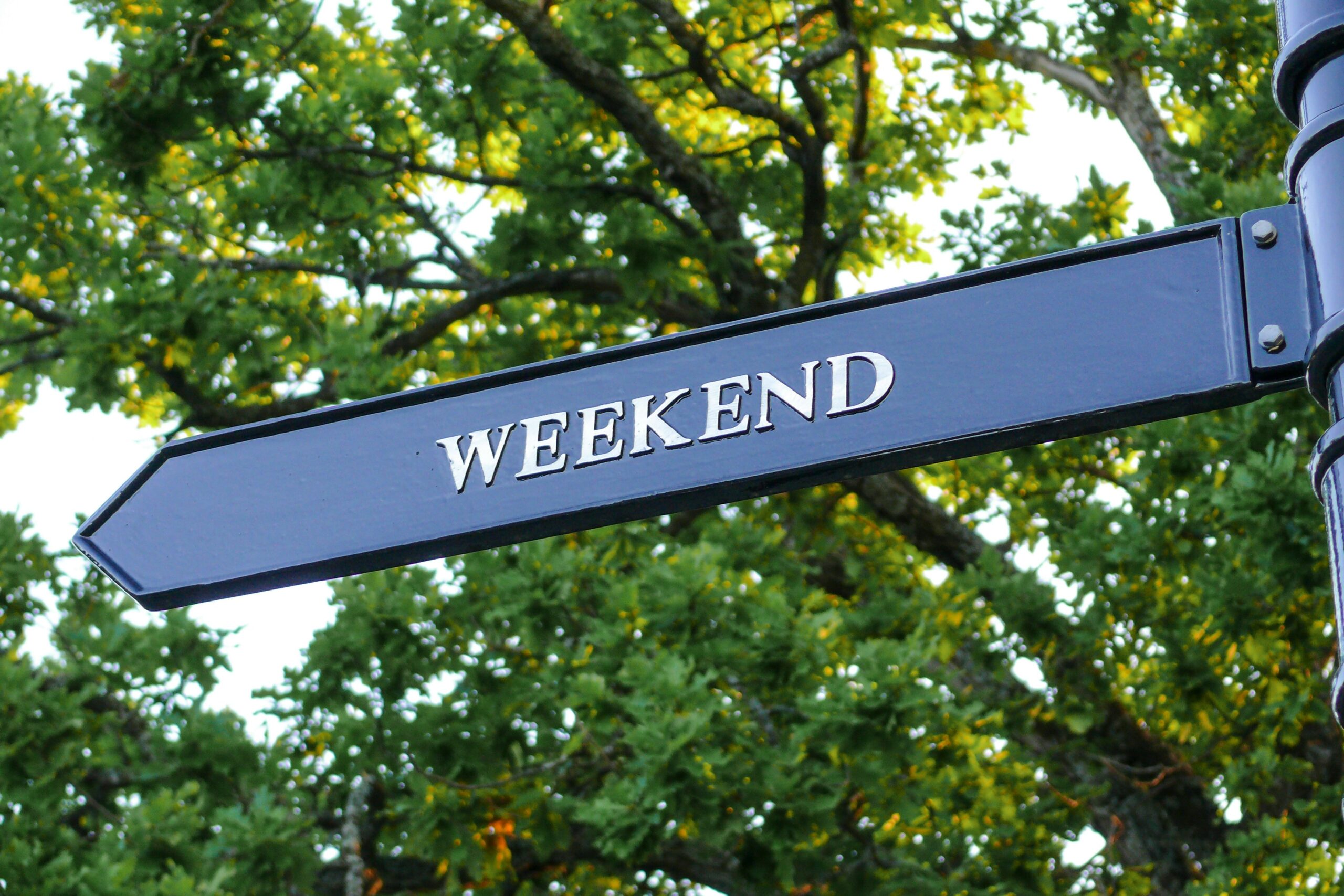 Top Things To Do In Ottawa This Weekend May 1–3 Events, Activities And Local Fun