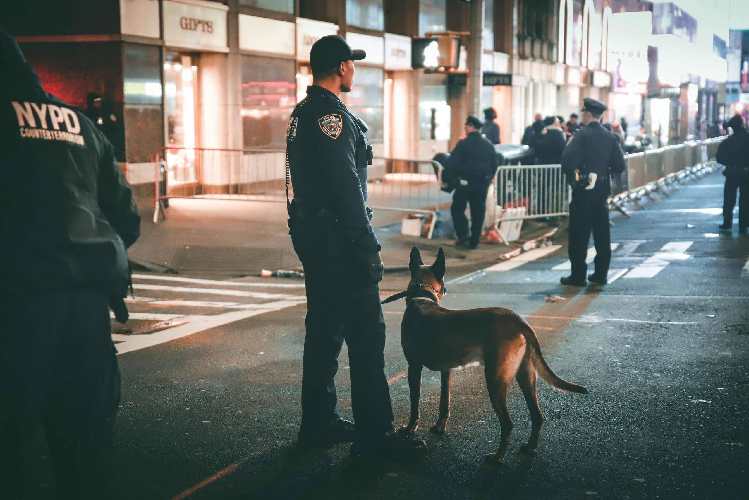 Watchdog Report