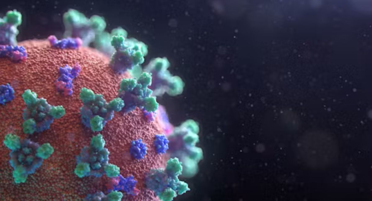 Hantavirus