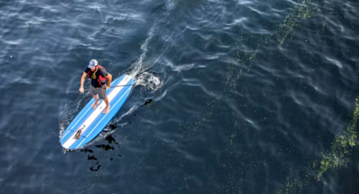 Paddleboarders