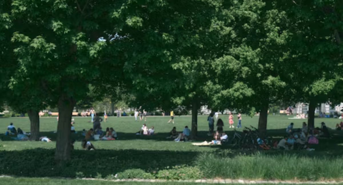 Parks