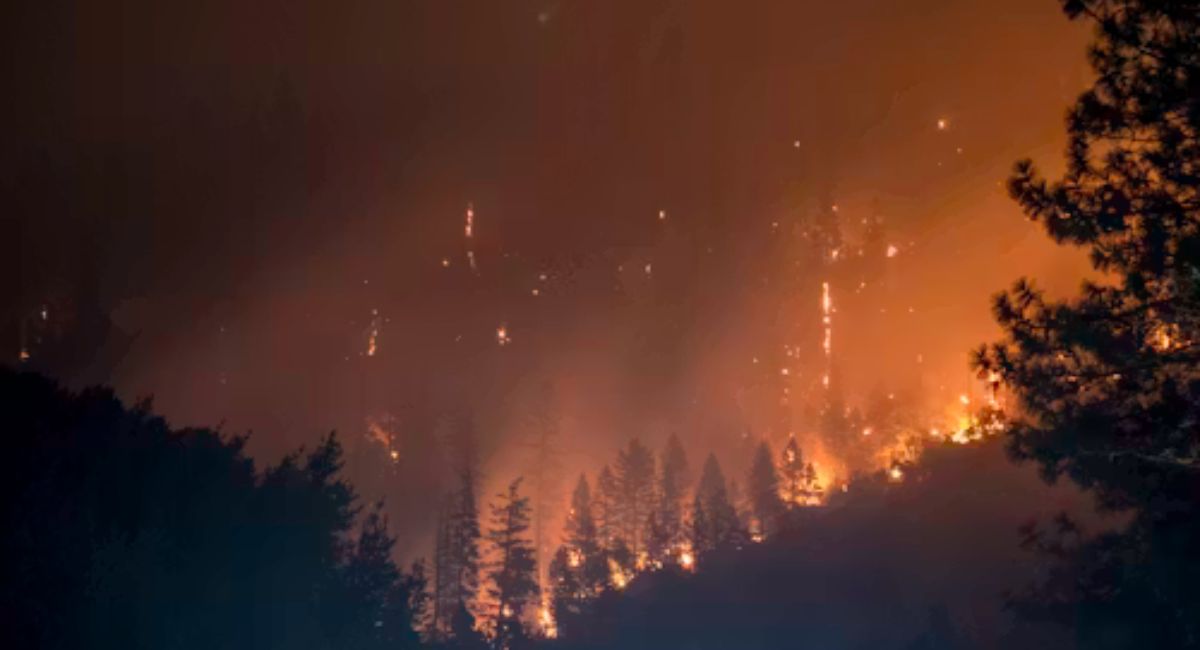 Wildfires