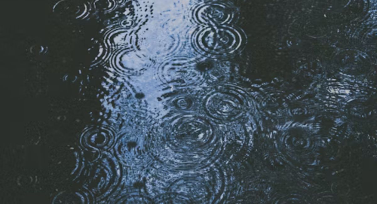 rain